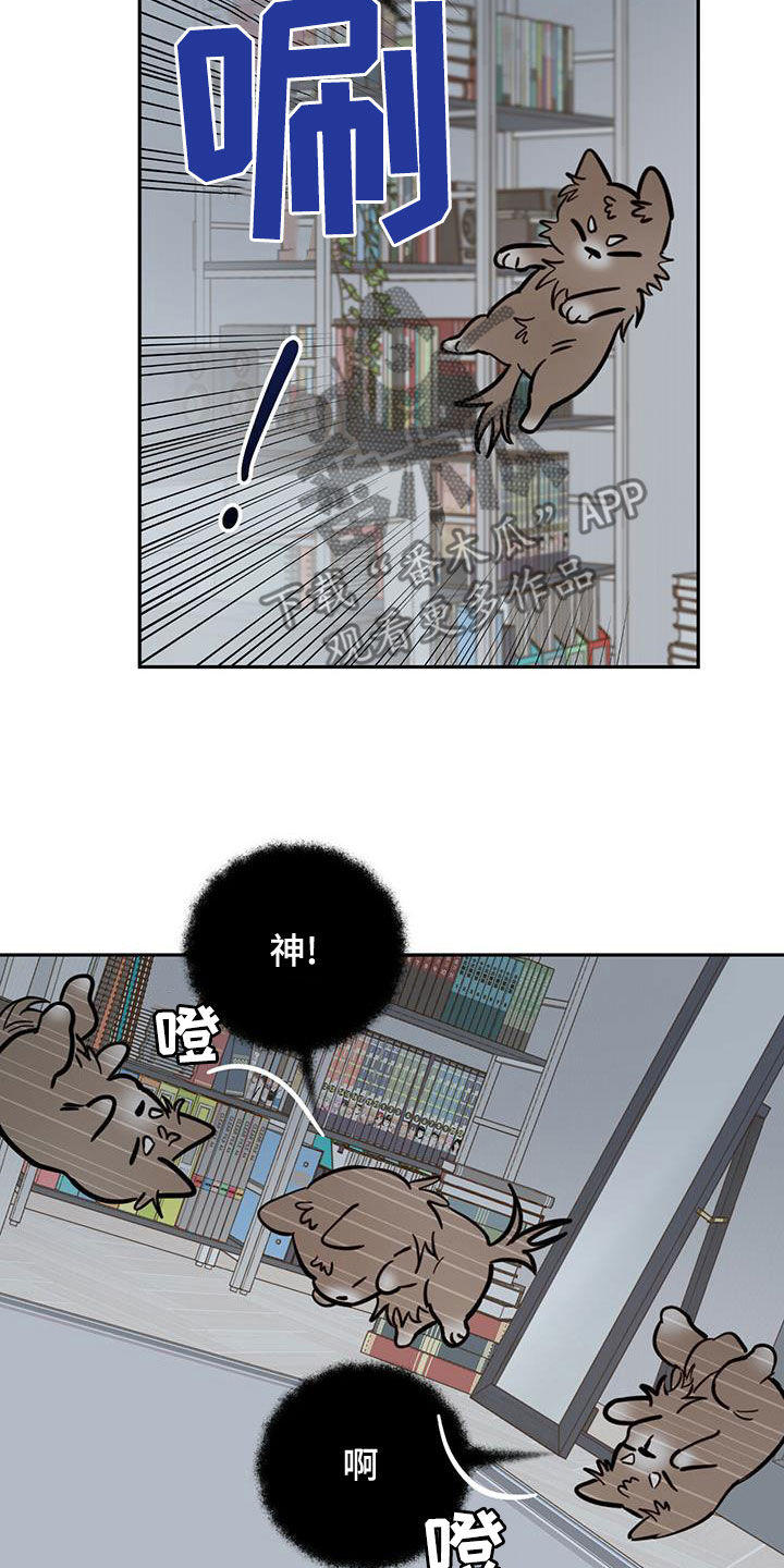心中的恶魔爆发出来有多可怕漫画,第58章：祭品2图