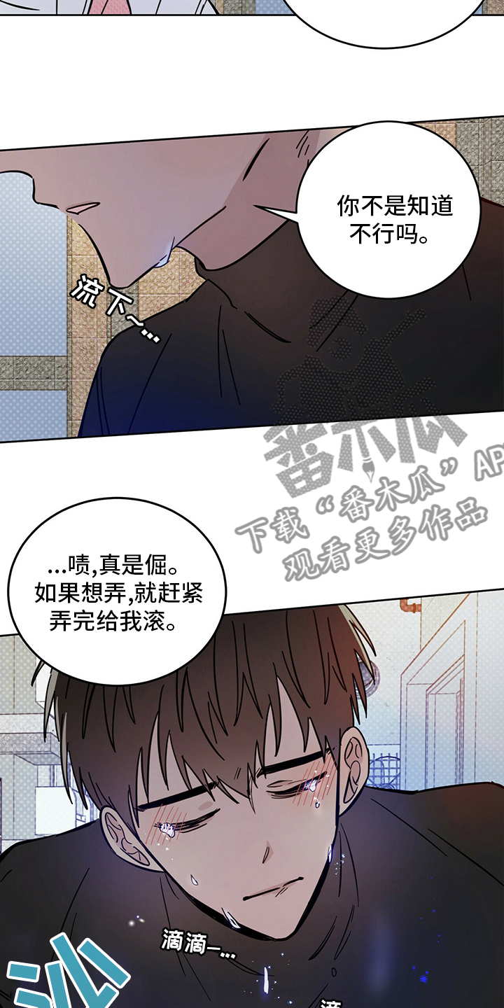 恶魔快递送什么花漫画,第27章：动物1图