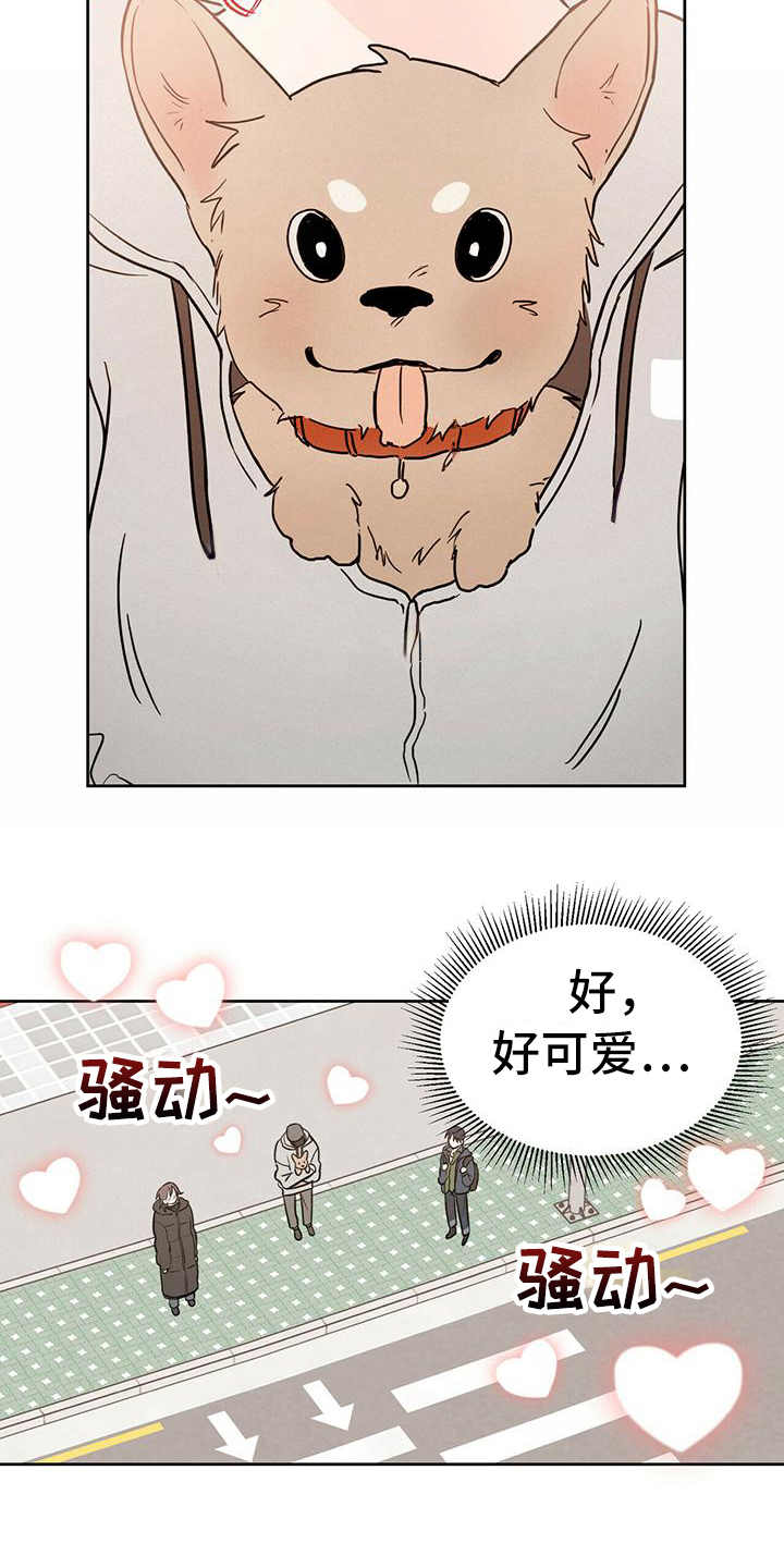 心中的恶魔爆发出来有多可怕漫画,第1章：晕血2图