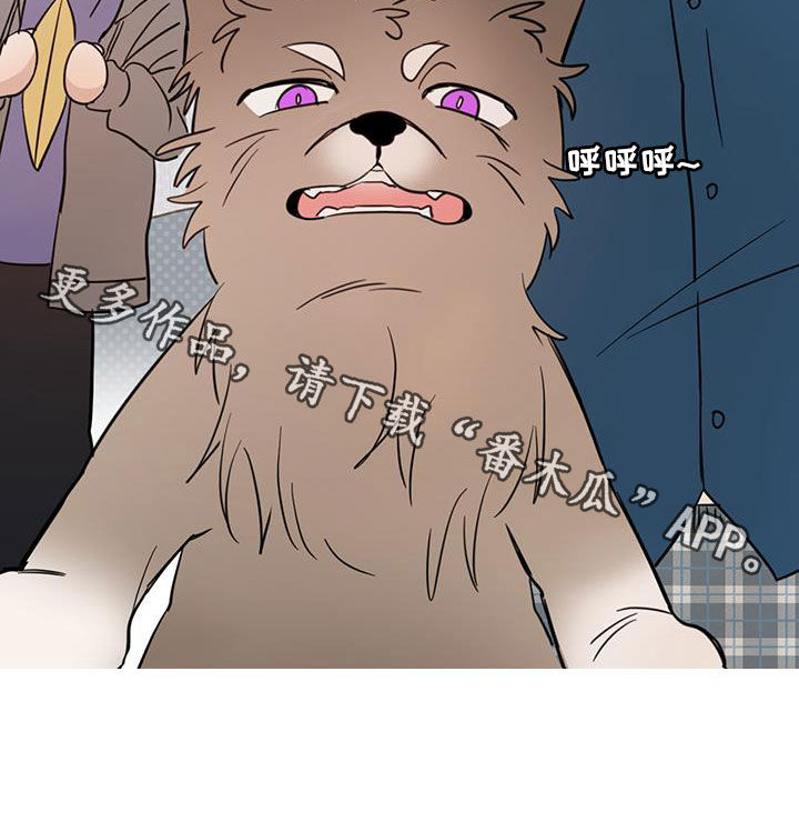 恶魔怎么找出来的漫画,第75章：【第二季】醒来1图