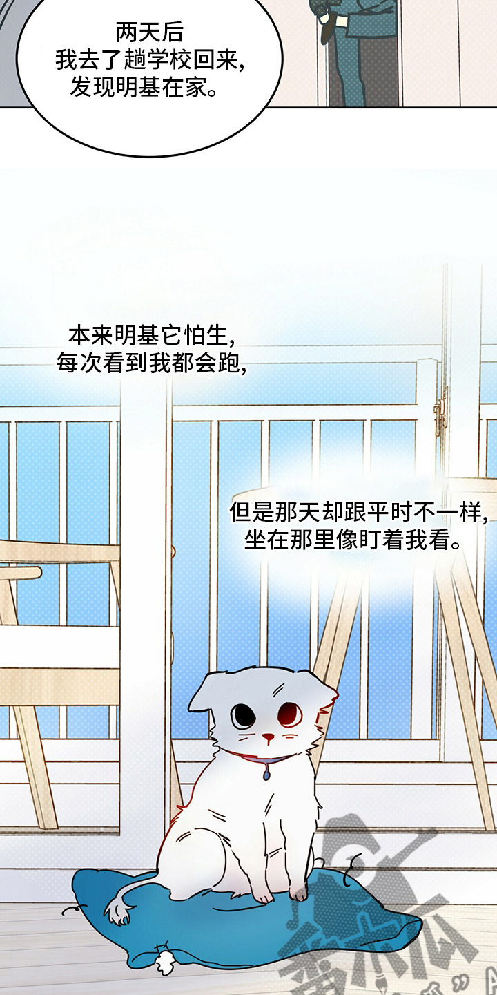 恶魔怎么找出来的漫画,第26章：小狗2图