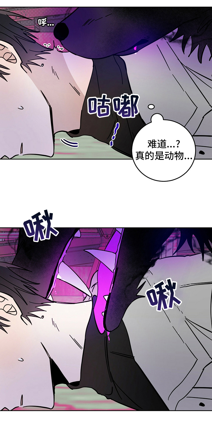 恶魔即将出笼漫画,第27章：动物1图