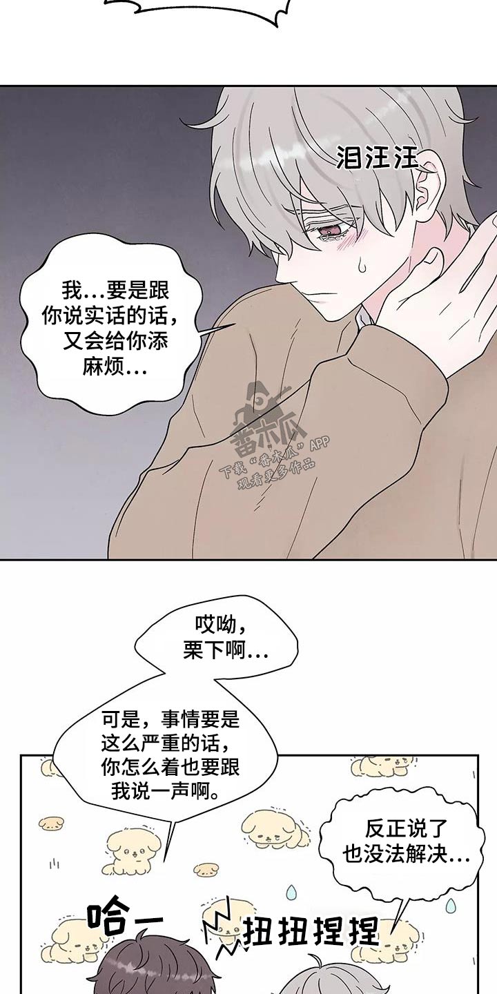 缘分注定漫画,第40章：跟我回去2图