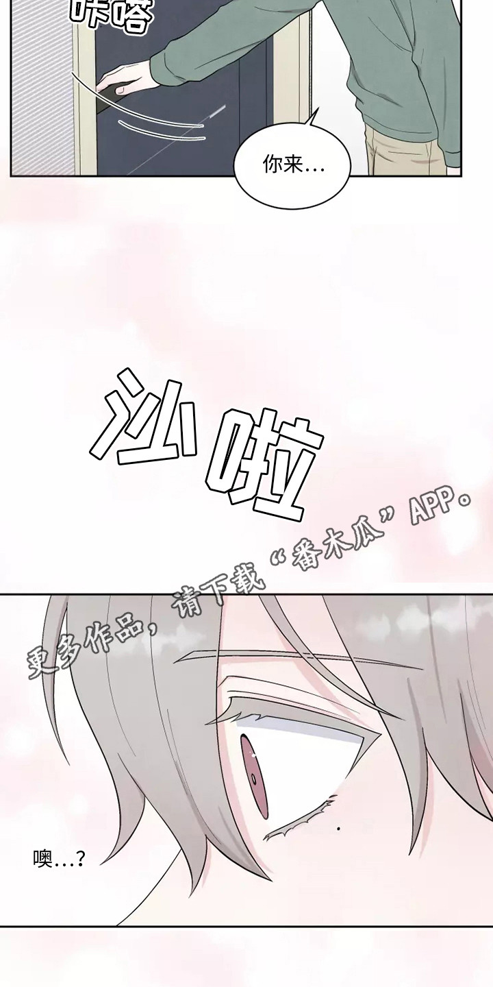 缘分注定漫画,第8章：求婚1图