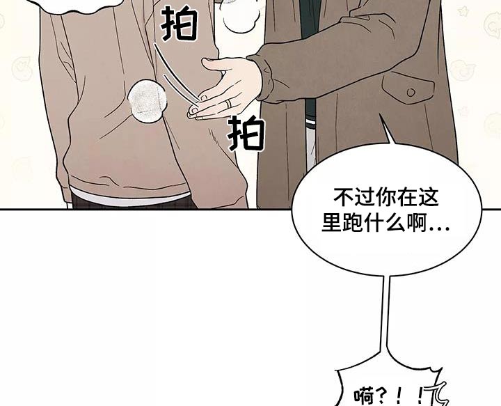 缘分注定漫画,第40章：跟我回去2图