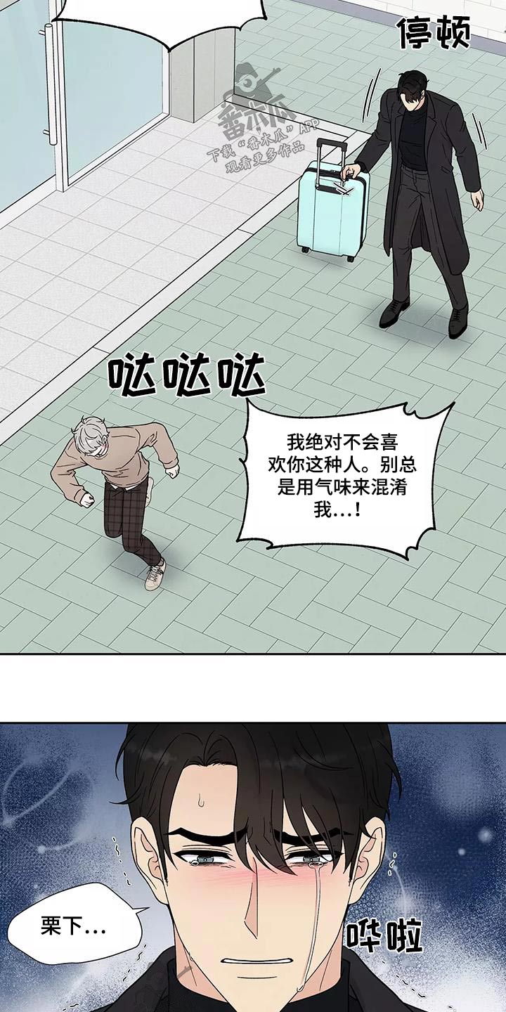 缘分注定漫画,第40章：跟我回去2图
