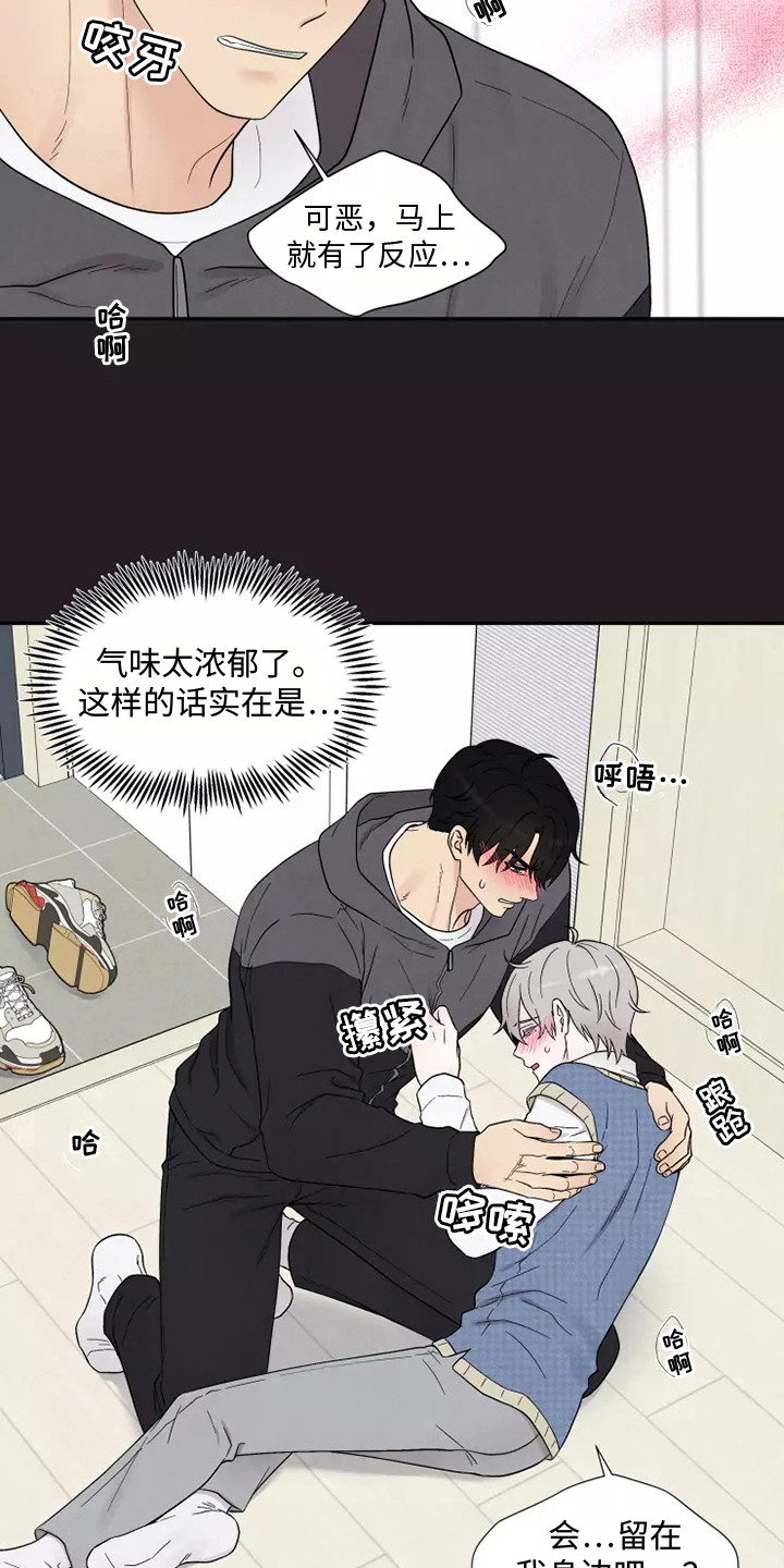 缘分注定漫画,第10章：难以置信1图