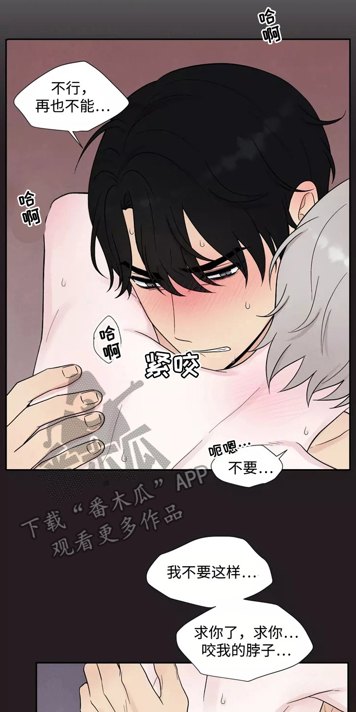 缘分注定漫画,第10章：难以置信2图
