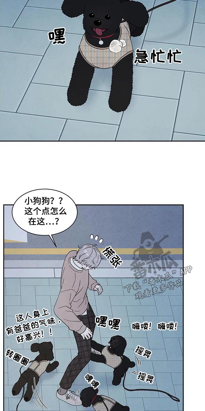 缘分注定漫画,第43章：散步2图