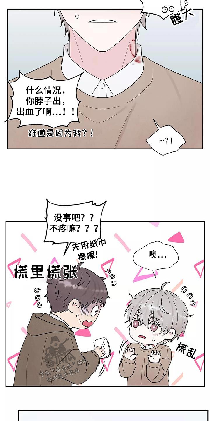 缘分注定漫画,第40章：跟我回去1图