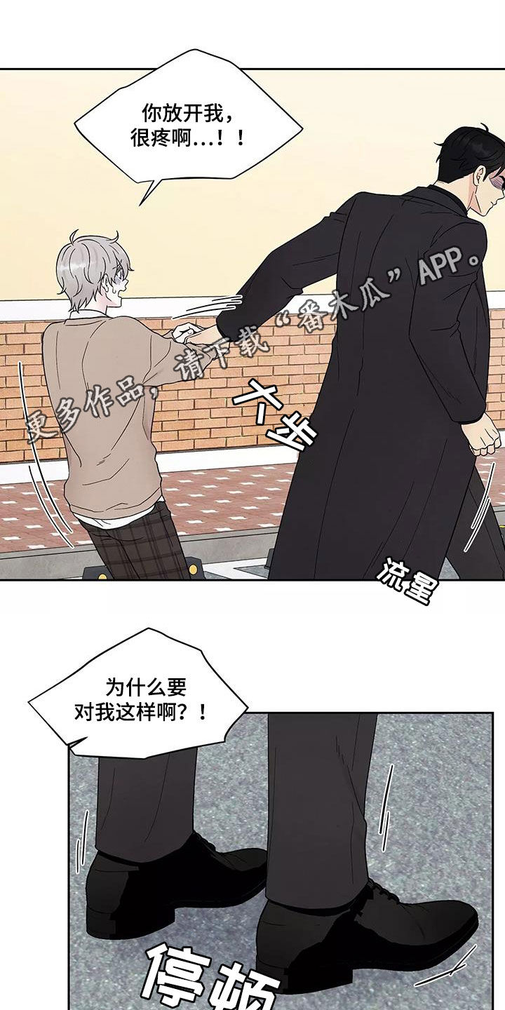 缘分注定漫画,第37章：气味1图