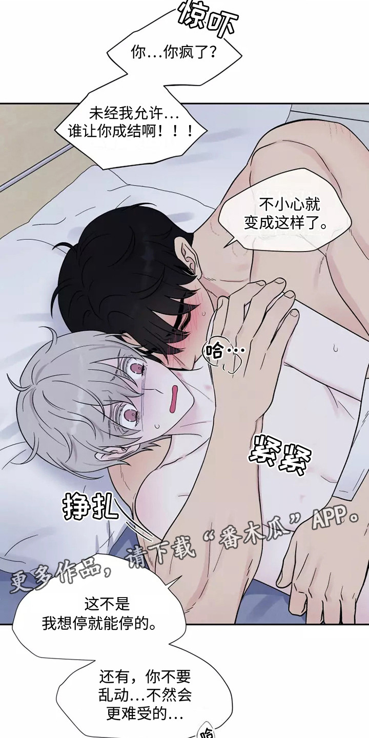 缘分注定漫画,第11章：疼痛2图
