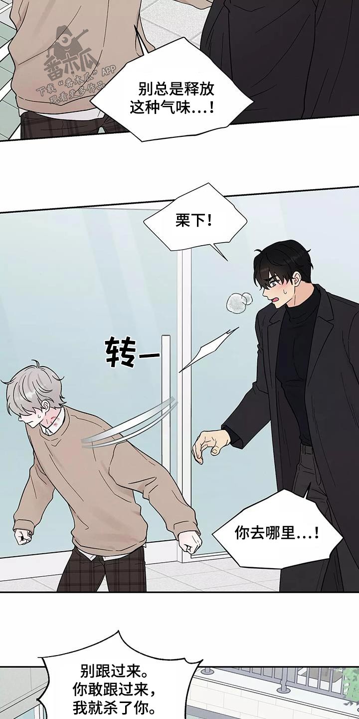 缘分注定漫画,第40章：跟我回去1图
