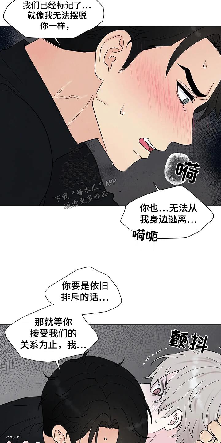 缘分注定漫画,第38章：逃离2图