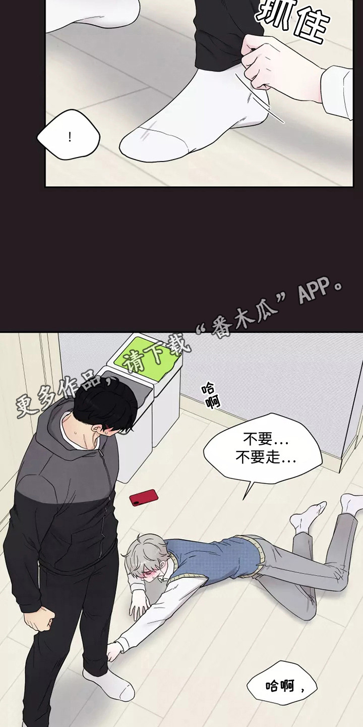 缘分注定漫画,第10章：难以置信1图