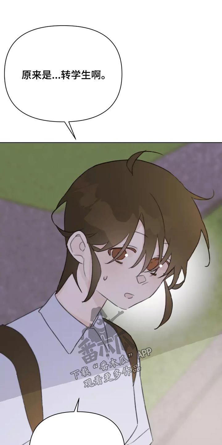 浪漫的青春漫画,第38章：转学生2图