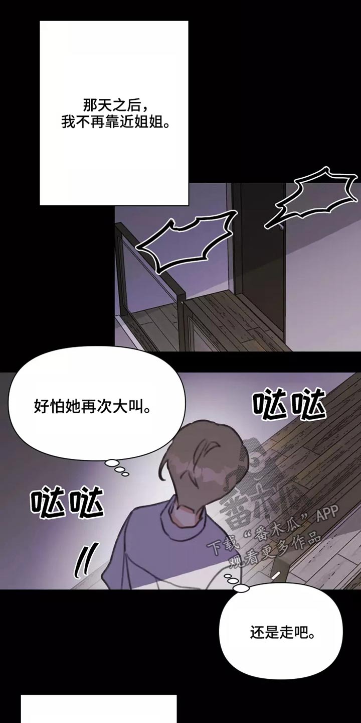 浪漫的青春漫画,第27章：姐姐1图