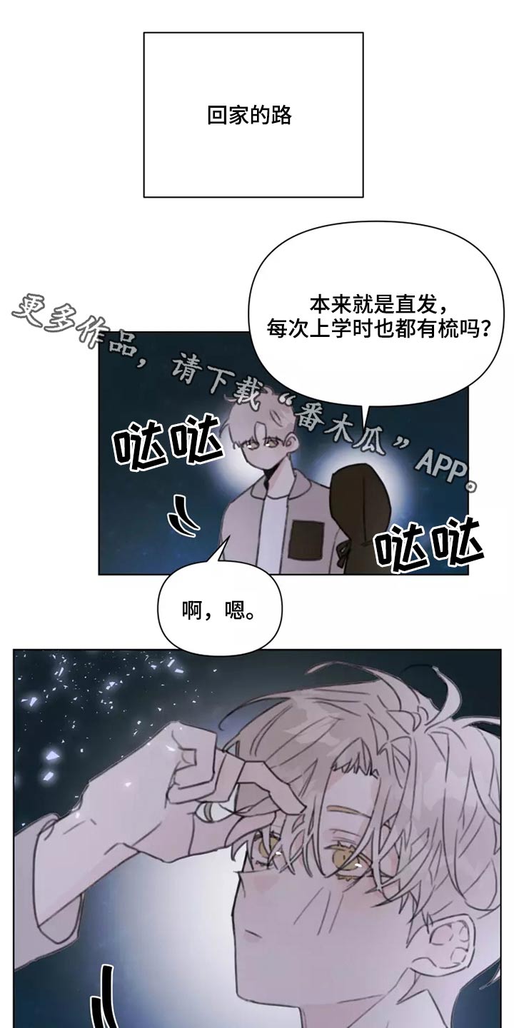 浪漫的情诗最美情诗短句漫画,第29章：熟悉1图