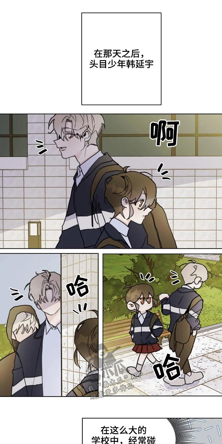 浪漫的青春漫画,第19章：怎么办1图