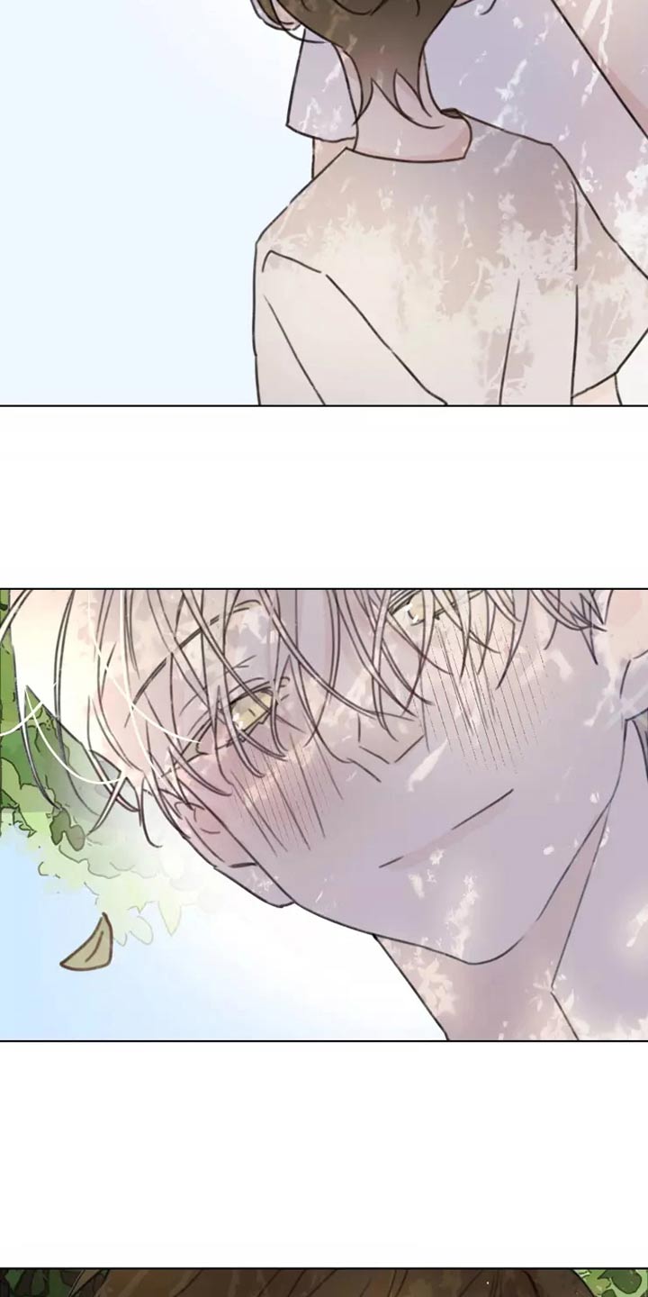 浪漫的青春漫画,第33章：心态2图