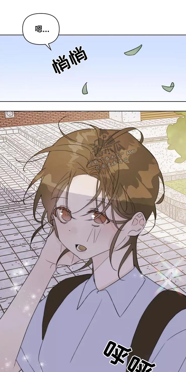 浪漫的青春漫画,第39章：篮球1图