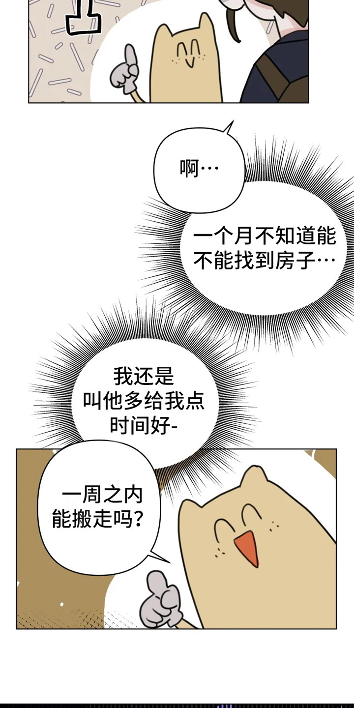 浪漫青春 小说漫画,第13章：悲惨2图