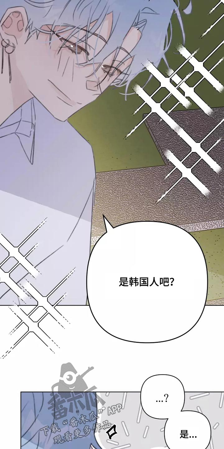 浪漫的青春漫画,第38章：转学生2图