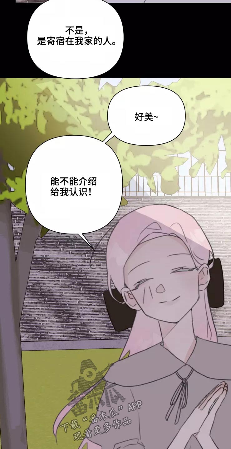 浪漫的青春漫画,第32章：试探1图