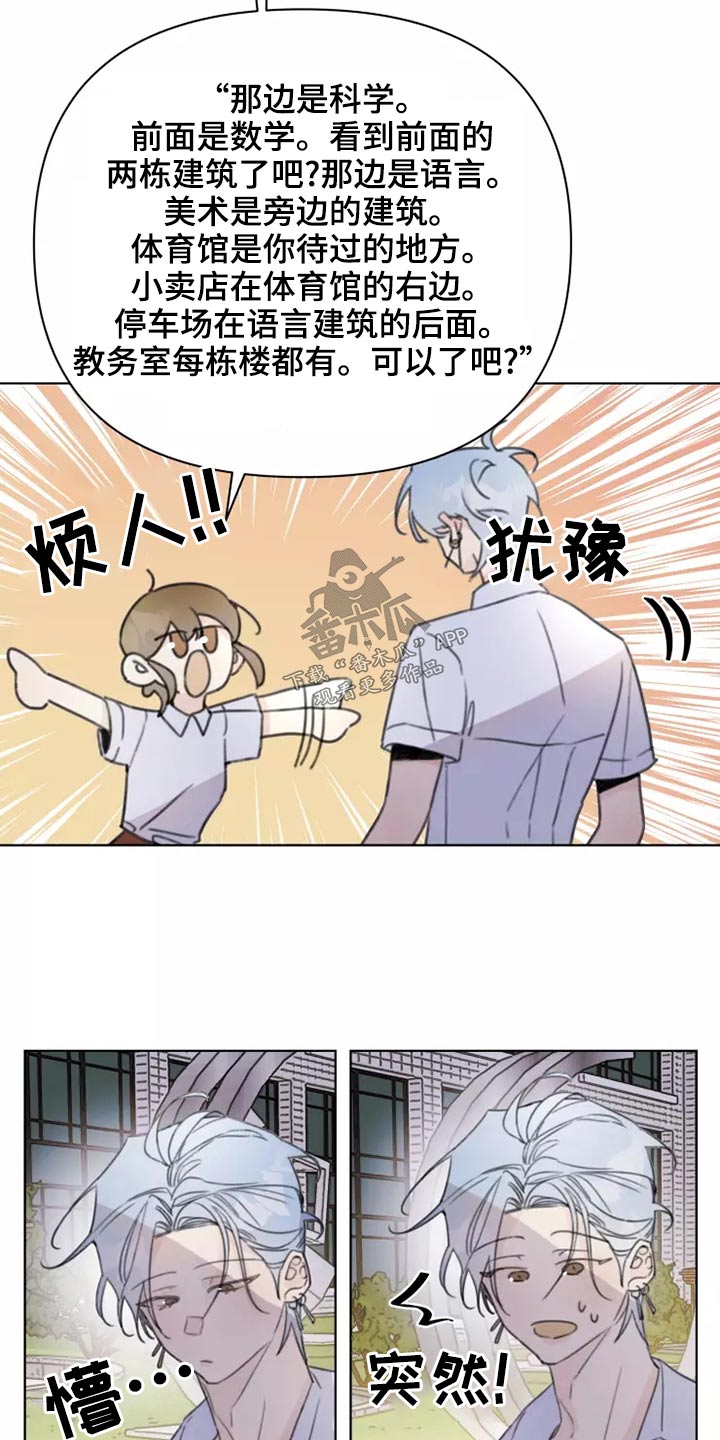 浪漫的青春漫画,第39章：篮球2图