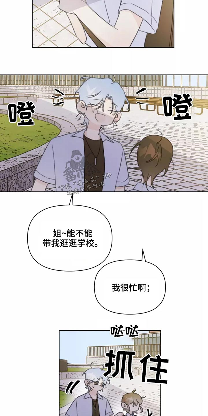 浪漫的青春漫画,第39章：篮球2图