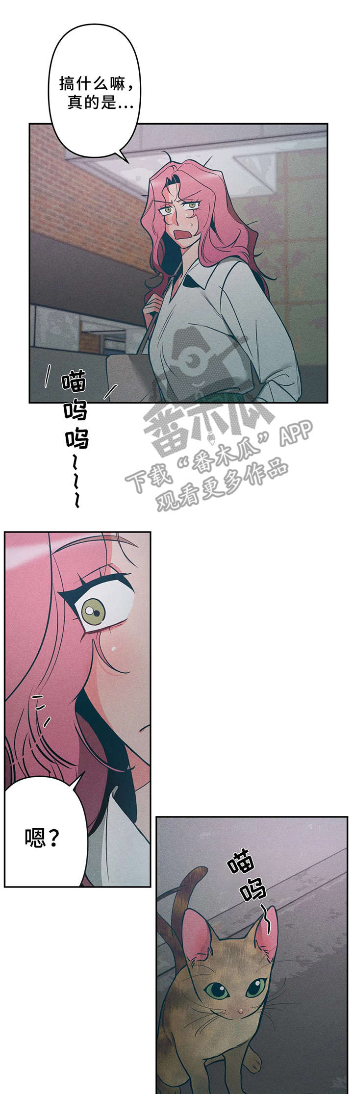 学院女生辱骂外卖骑手漫画,第15章：小猫2图