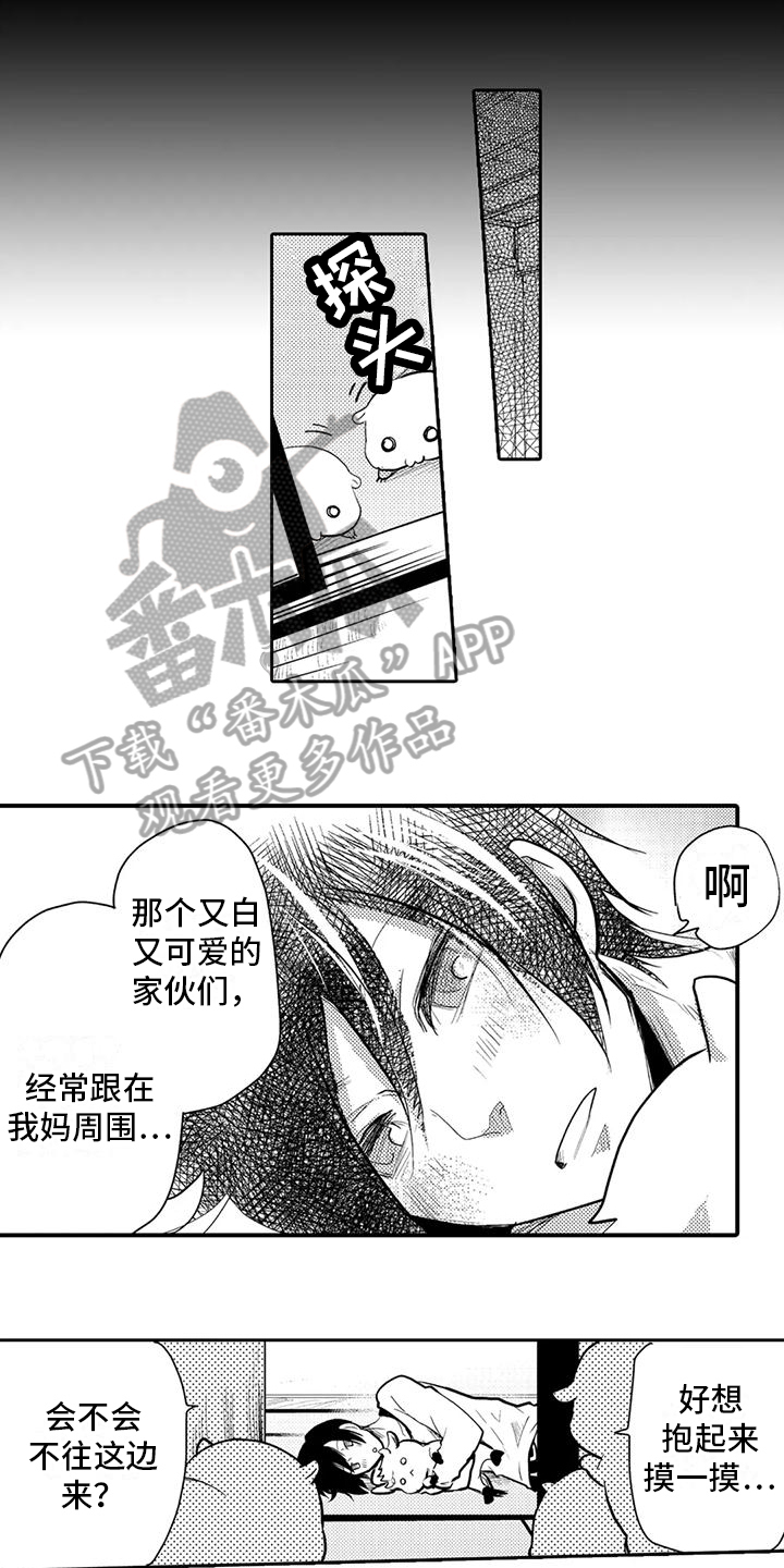 新娘可爱漫画,第5章：同居1图