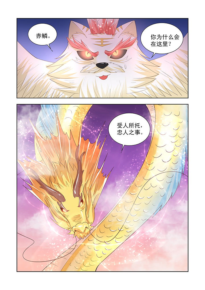 小夭性格漫画,第39章：1图