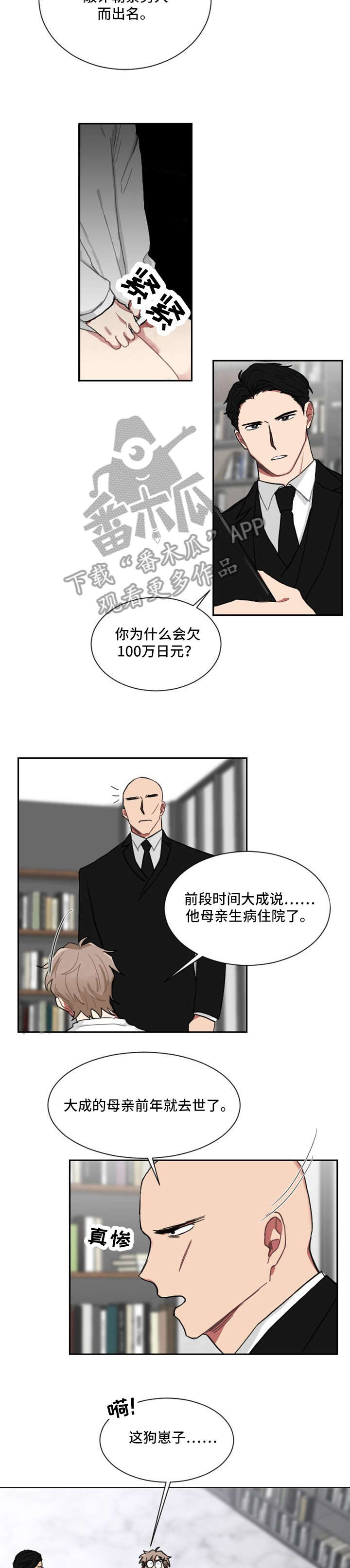 如果你喜欢养小动物那你想养什么漫画,第4章：合作1图