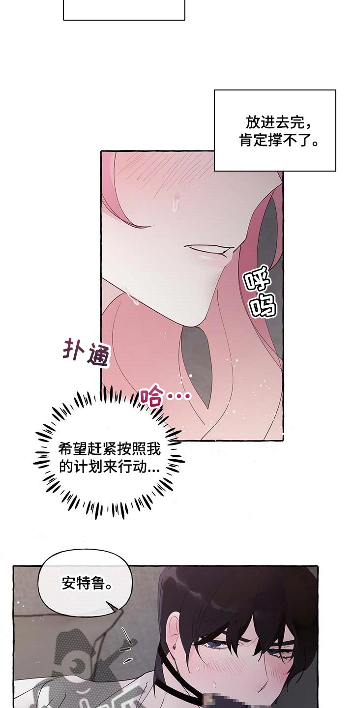 盛情邀请 英语漫画,第74章：【第二季】好戏才刚刚开始1图