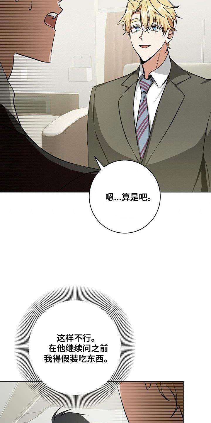 吸血鬼特工漫画,第27章：私人飞机2图