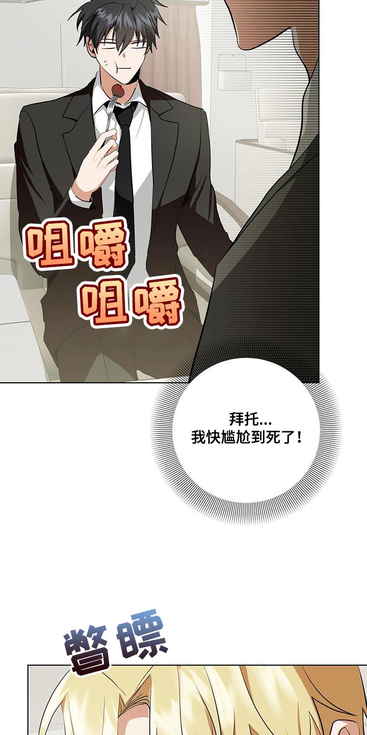 吸血鬼特工漫画,第27章：私人飞机1图