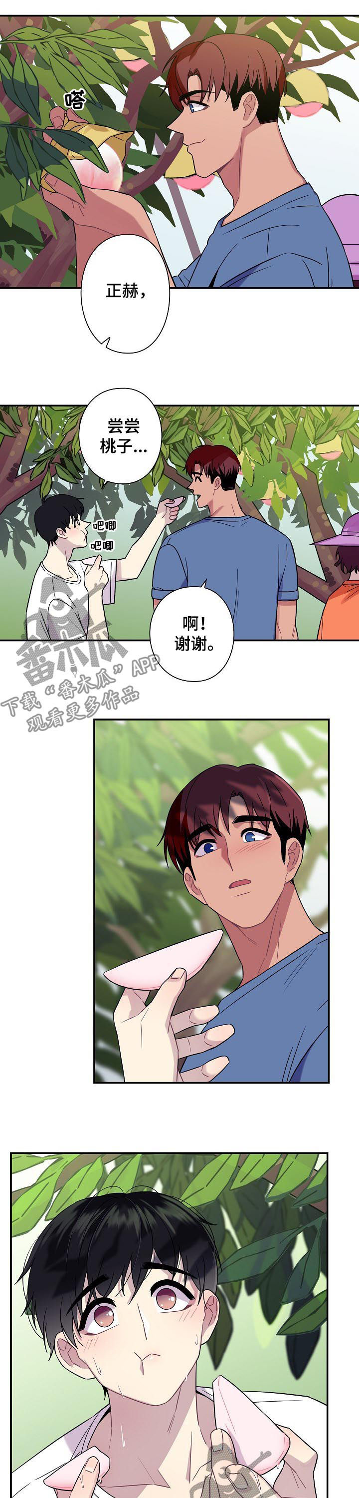 保洁是怎么弄的?怎么收费的?漫画,第59章：【番外】摘桃子2图