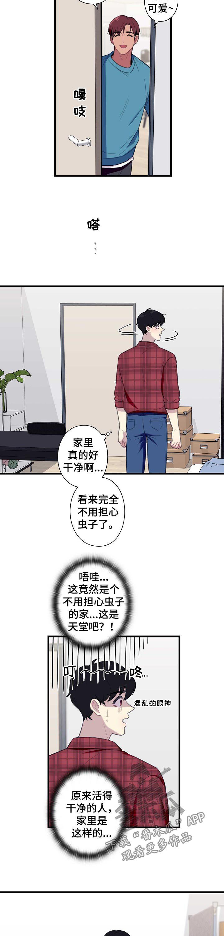 保洁有什么注意的地方漫画,第51章：【番外】同居2图