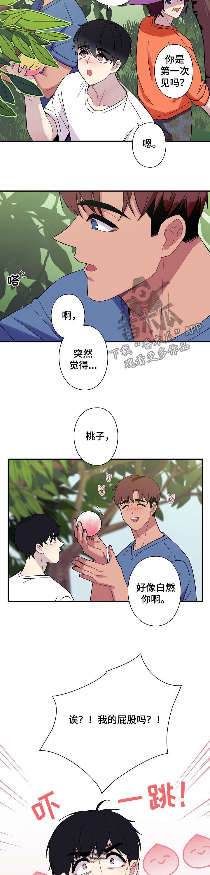 保洁是怎么弄的?怎么收费的?漫画,第59章：【番外】摘桃子2图