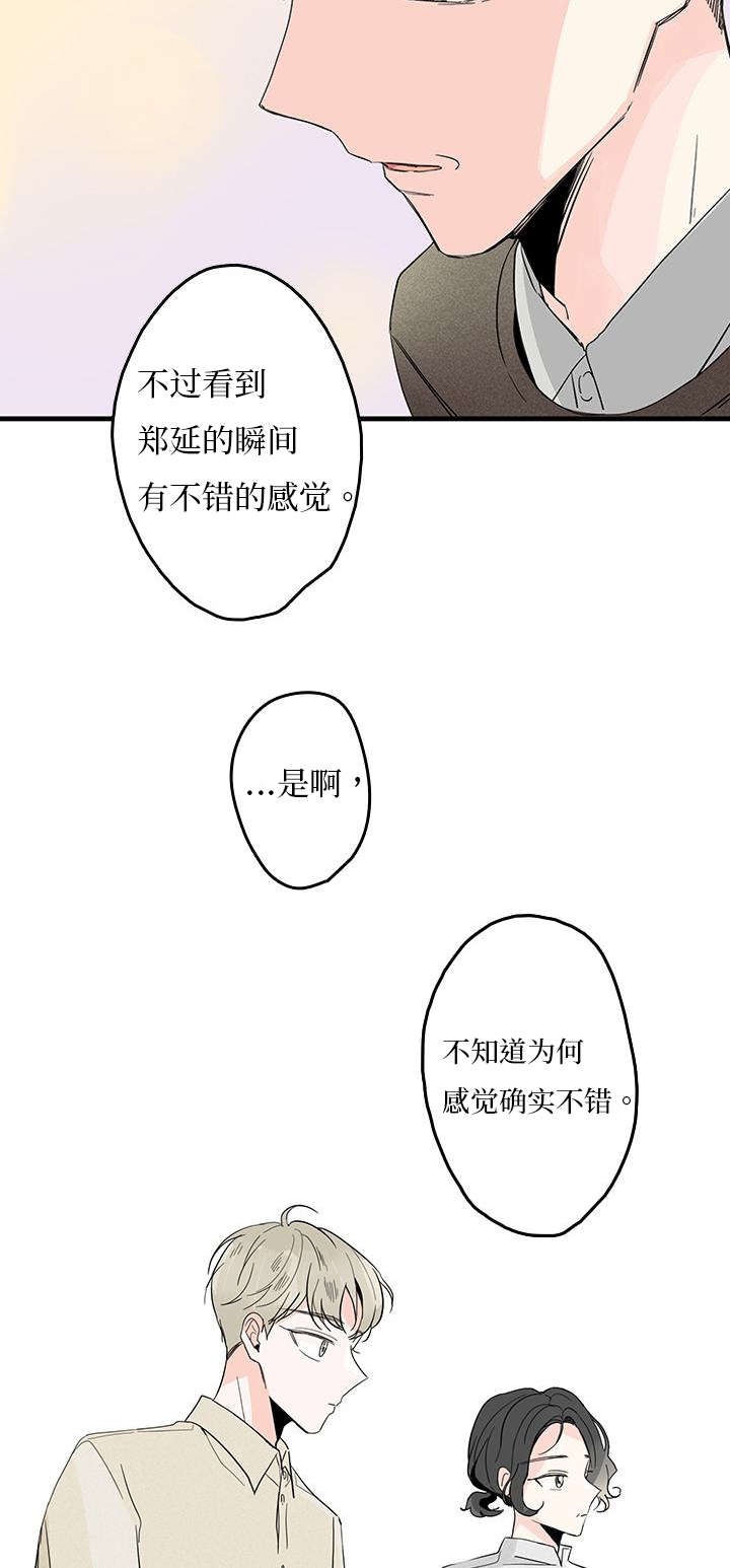 旧伤痕歌词是什么意思漫画,第6章：弟弟1图