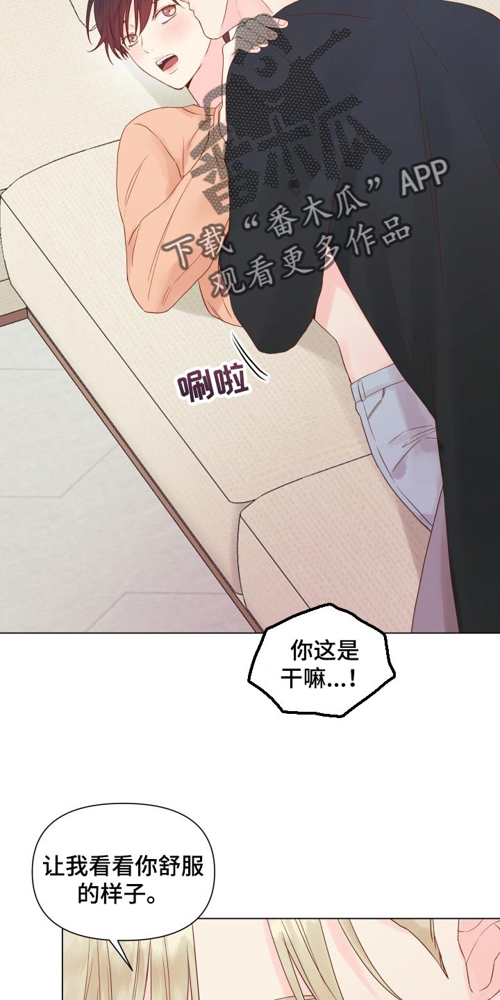 掌中玫瑰漫画,第19章：动摇2图