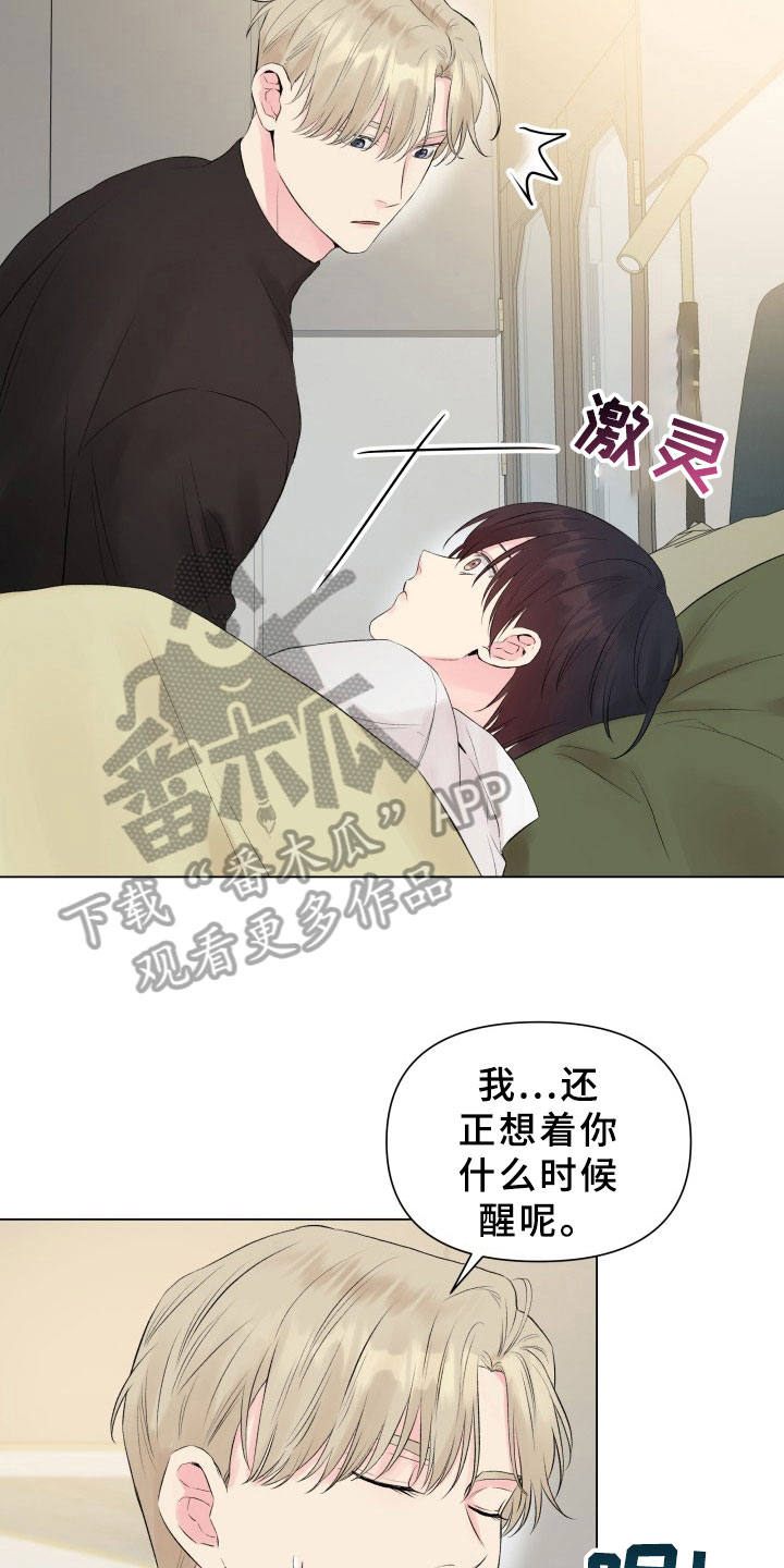 掌中玫瑰枝上云栖小说免费阅读漫画,第13章：考虑2图