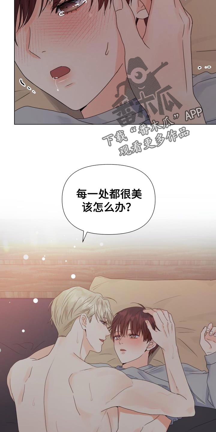 掌心玫瑰蛋糕漫画,第81章：【第二季】喜欢你的脸1图