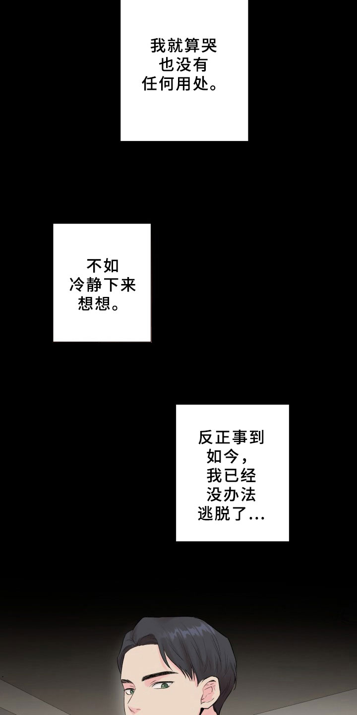 掌中玫瑰小说免费阅读漫画,第6章：交易1图