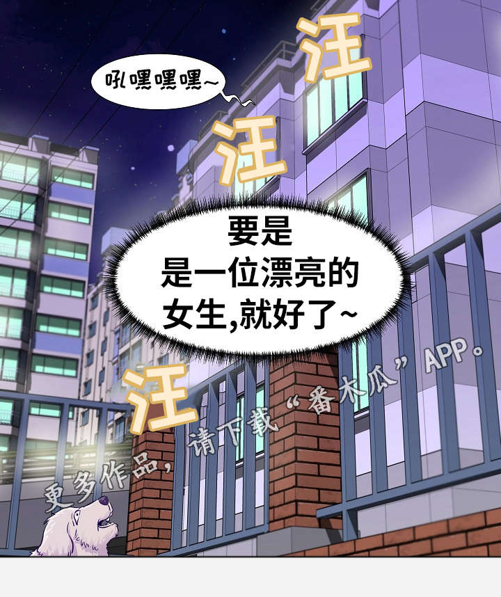 跨越界限小说漫画,第20章：安排1图