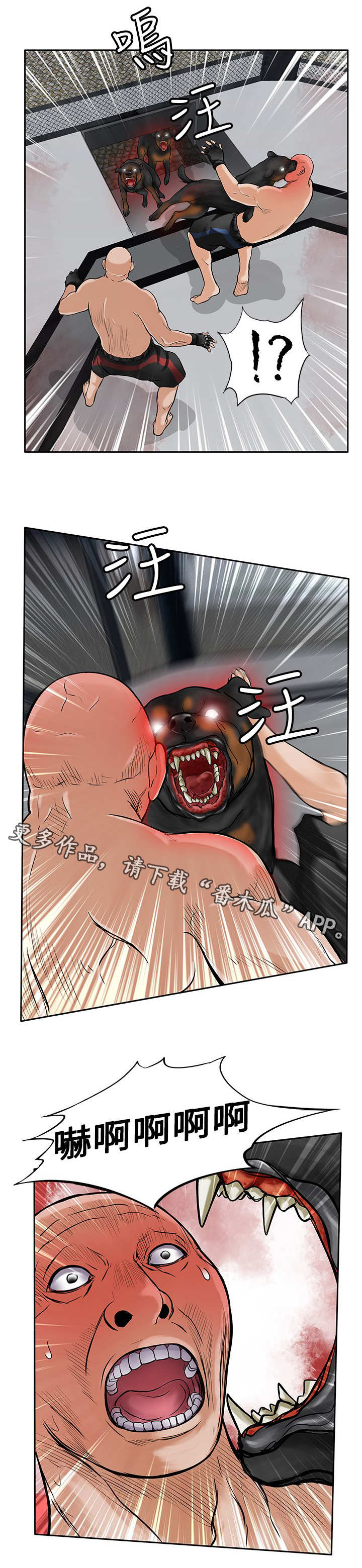 死斗无限漫画,第41章：疯狗2图