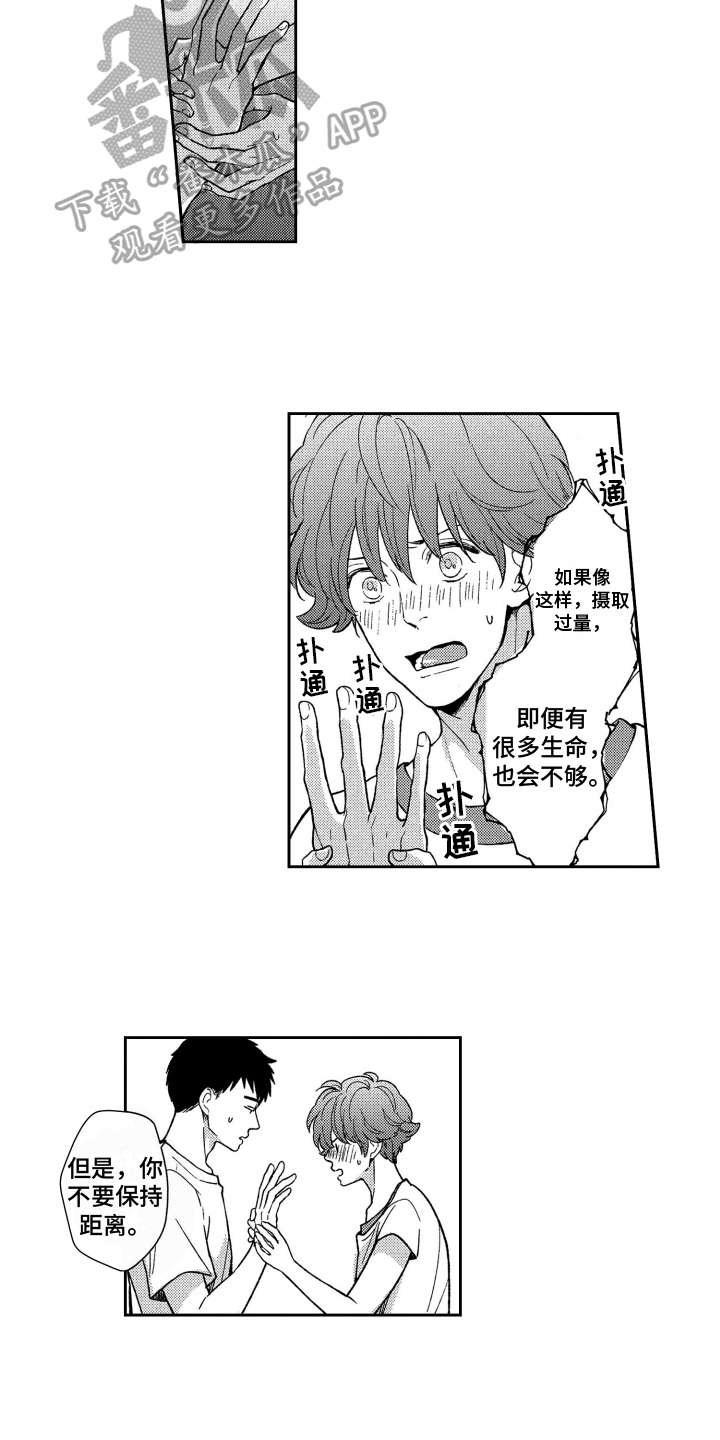 恋人的手中樱花草漫画,第18章：手的距离【完结】2图