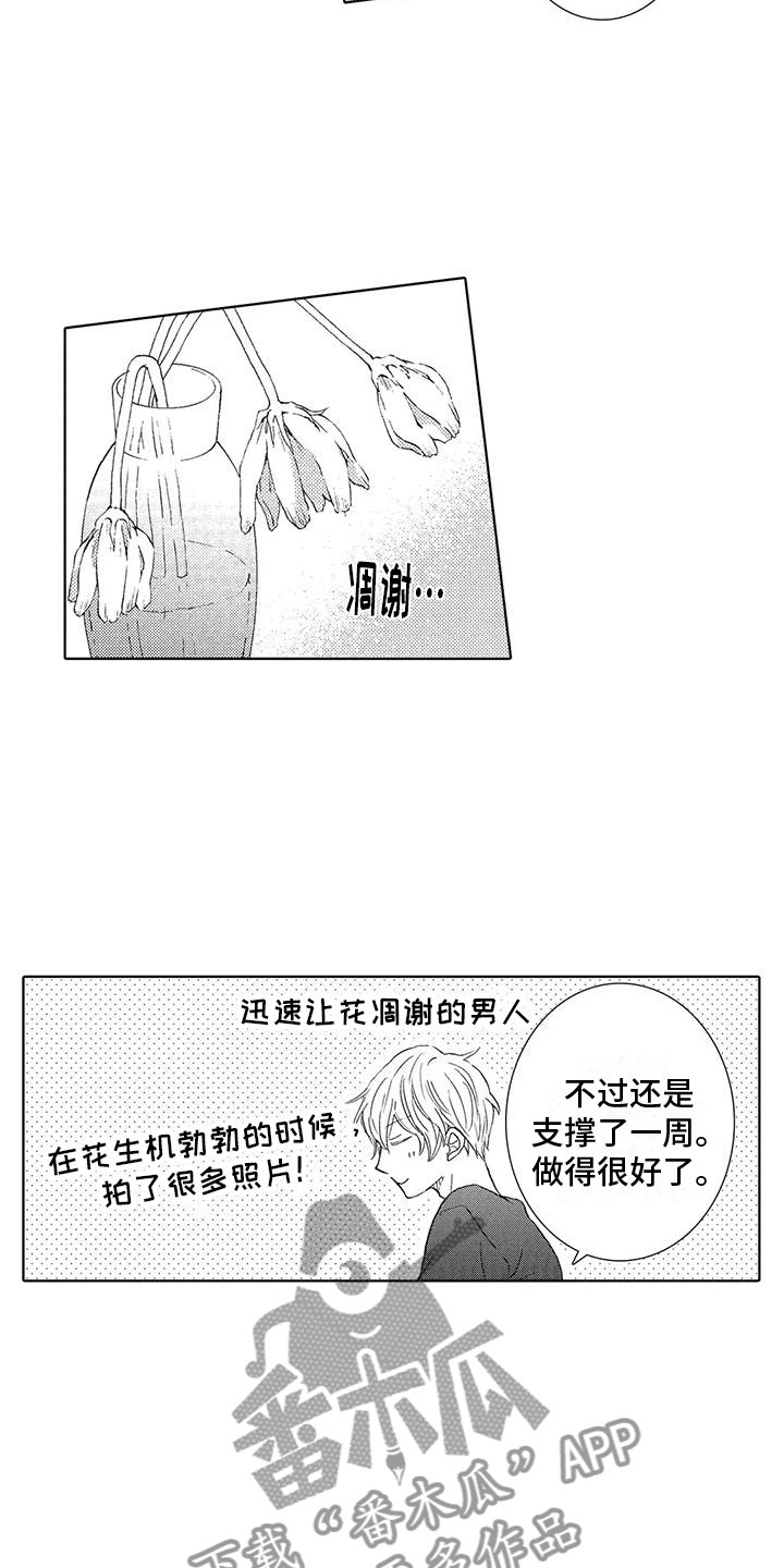 爱如夏花漫画,第12章：我想见你2图