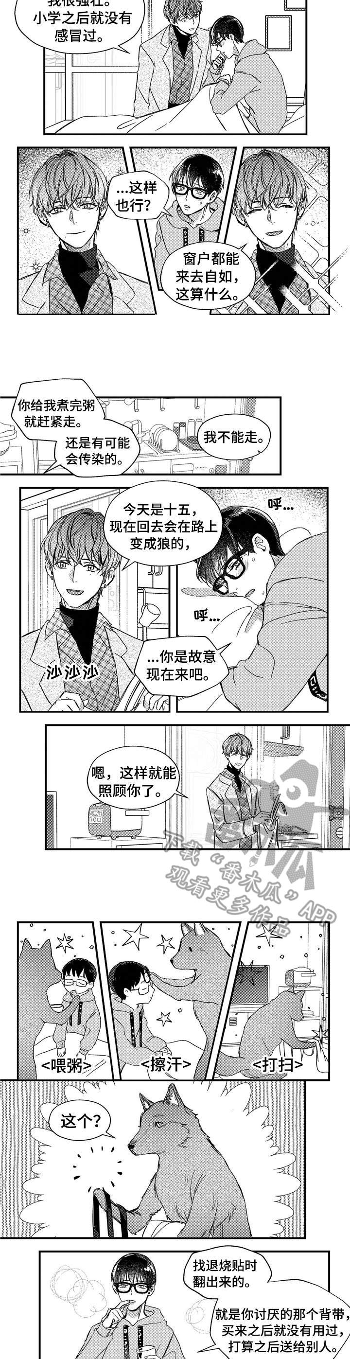 狼与糖果免费漫画漫画,第23章：背带1图